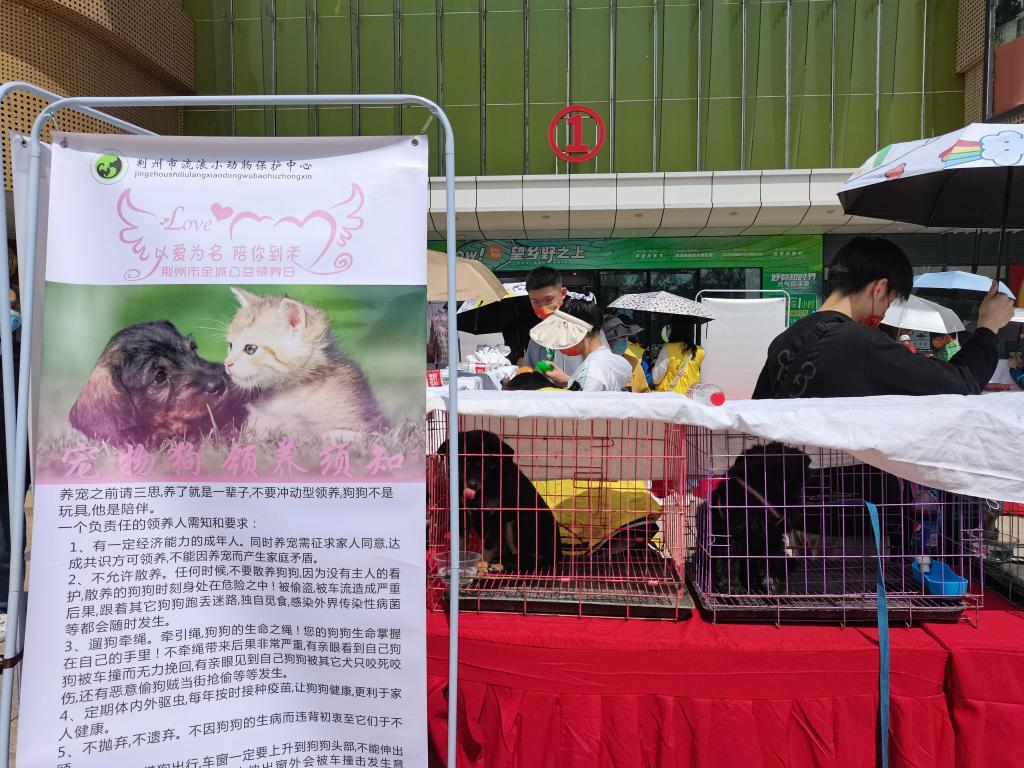 球王会网站