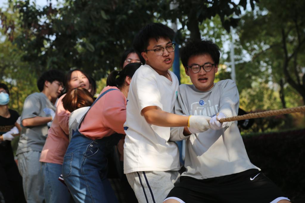 球王会网站
